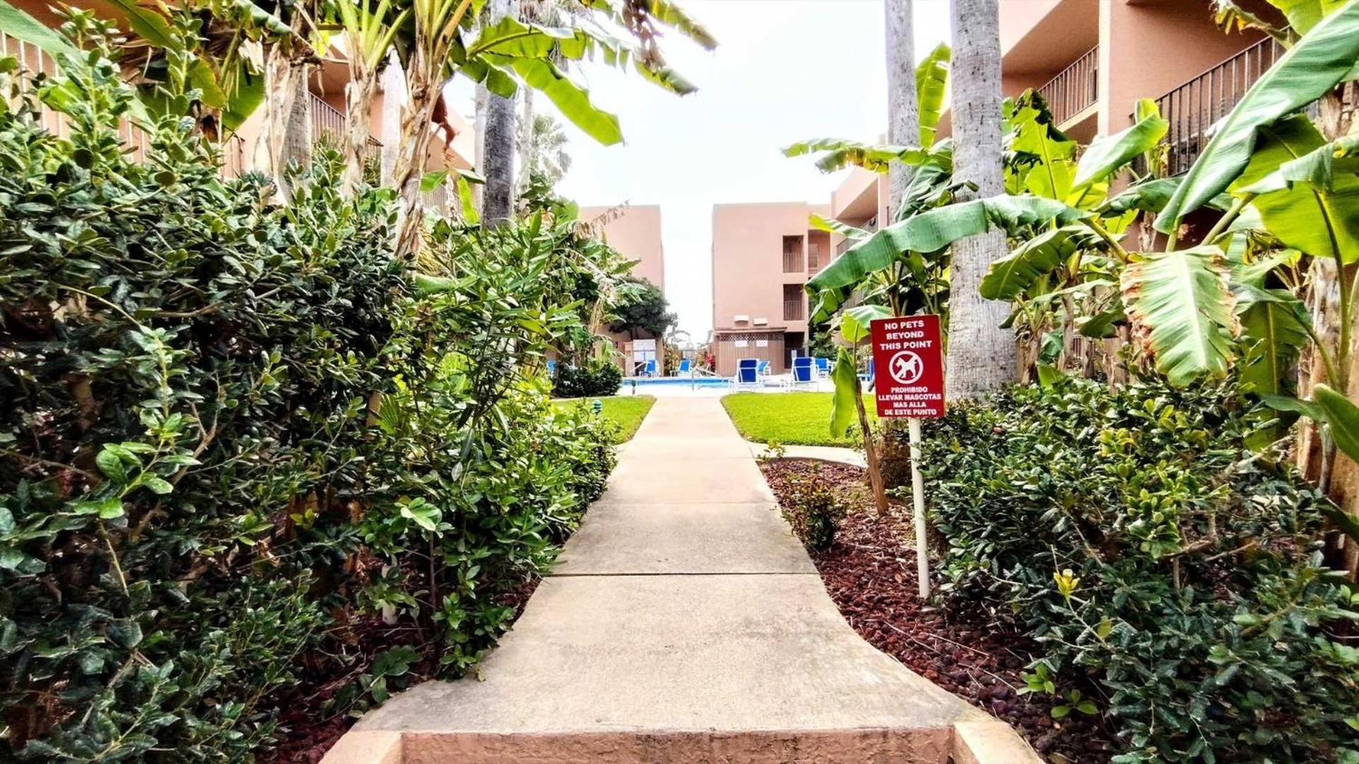 Beachview 206 Condominium Condo South Padre Island Exterior foto